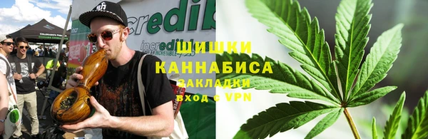прущие грибы Алзамай