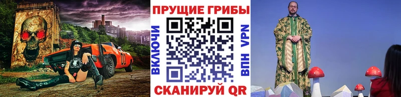 Псилоцибиновые грибы Magic Shrooms как найти Энгельс