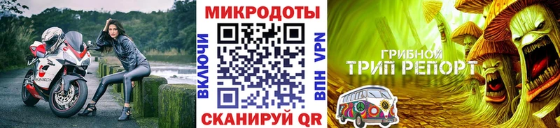 Псилоцибиновые грибы GOLDEN TEACHER Энгельс